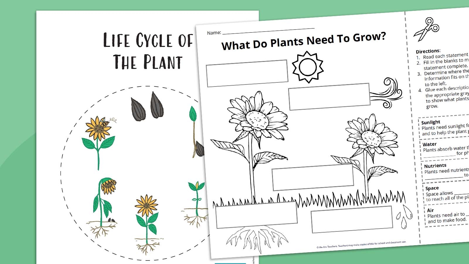 Free Printable Plant Life Cycle Worksheets