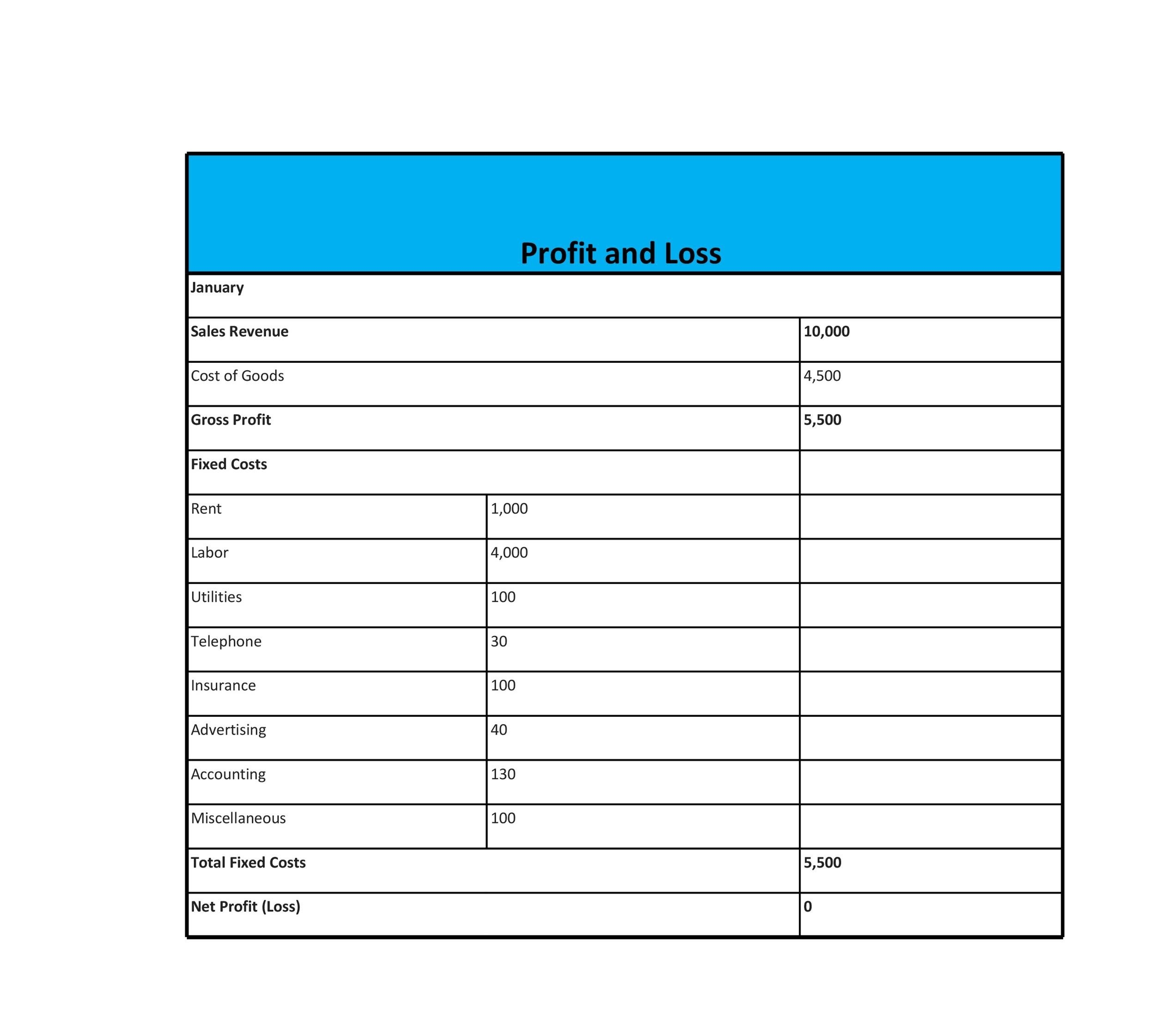 53 Profit And Loss Statement Templates Forms Excel PDF 53 Profit And Loss Statement Templates Forms Excel PDF