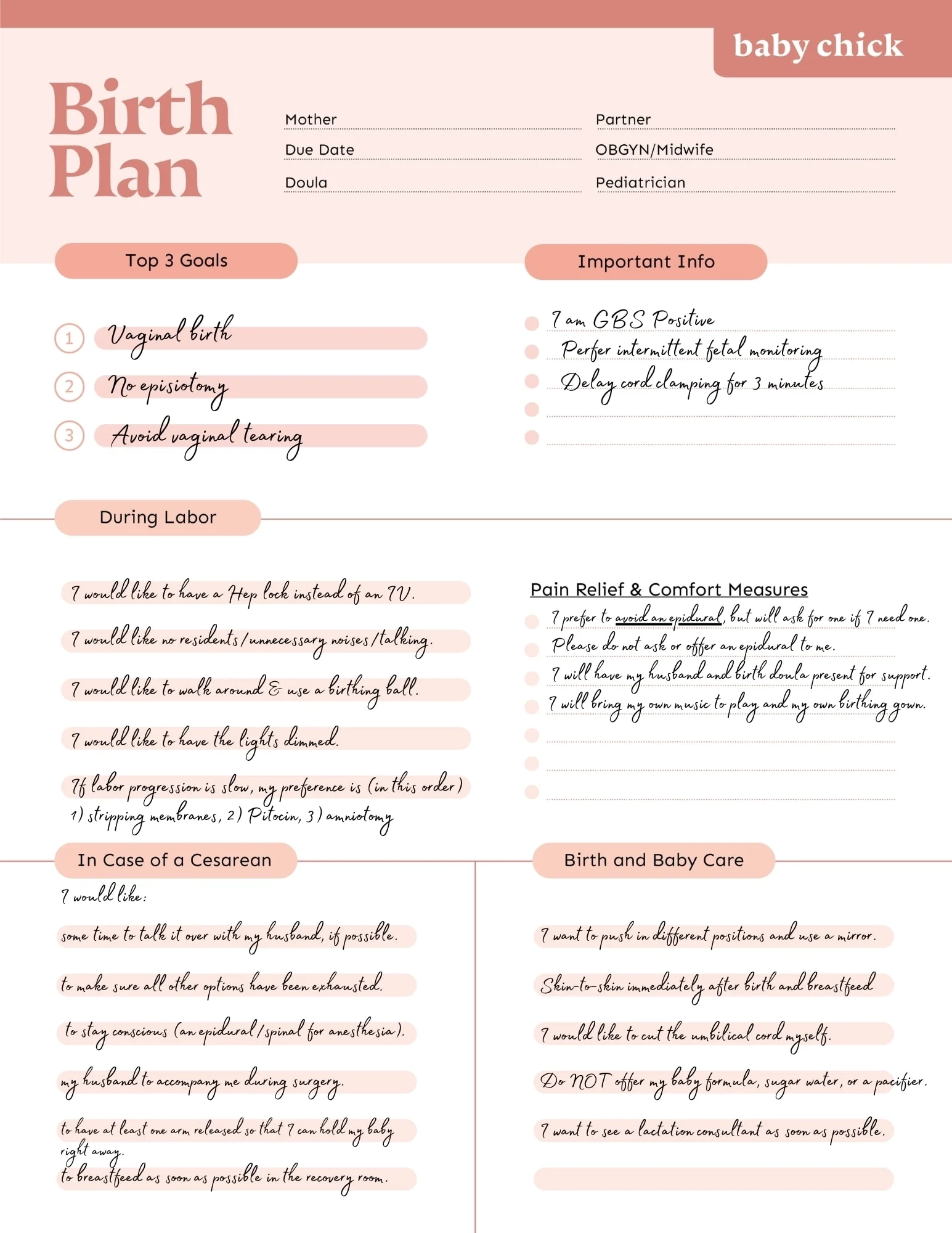 Birth Plan Template And Checklist Baby Chick