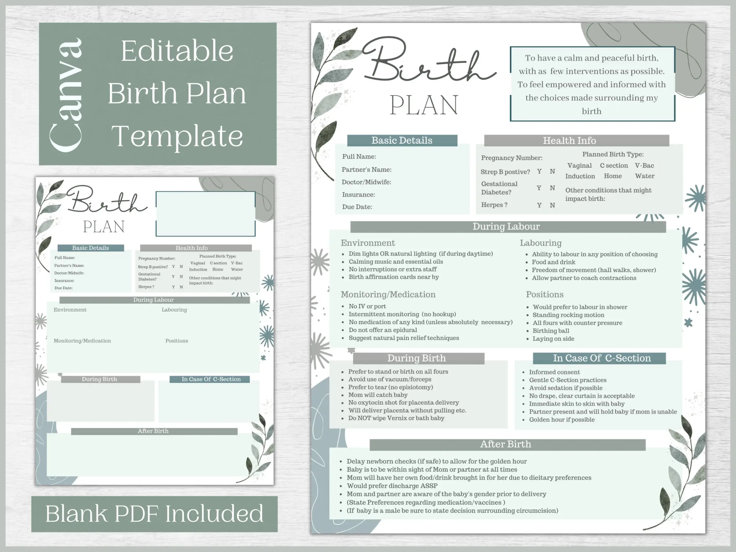 Editable Birth Plan Template Printable Birthing Plan Labour And Delivery Preferences Template Etsy Editable Birth Plan Template Printable Birthing Plan Labour And Delivery Preferences Template Etsy