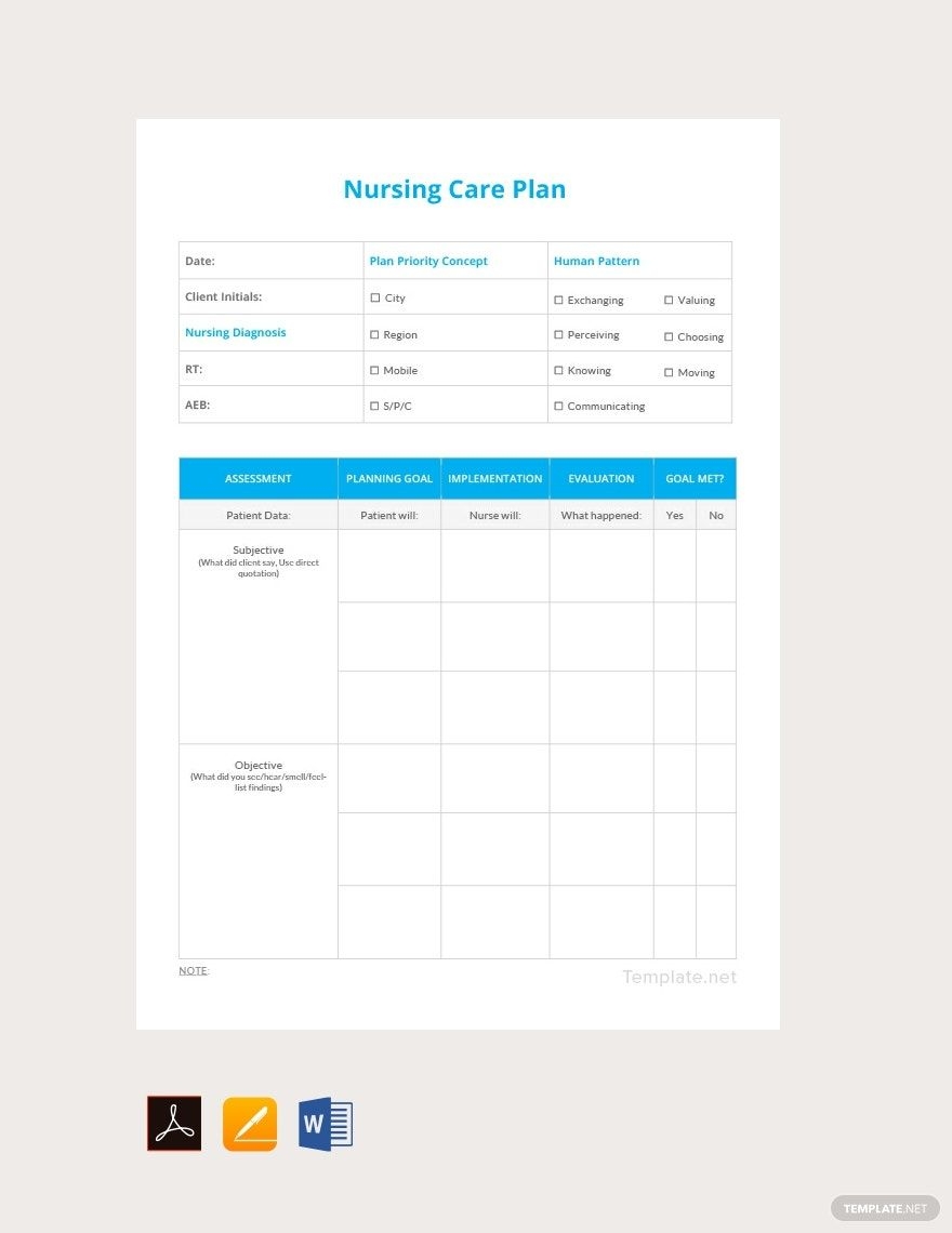 Blank Printable Care Plan Template Blank Printable Care Plan Template