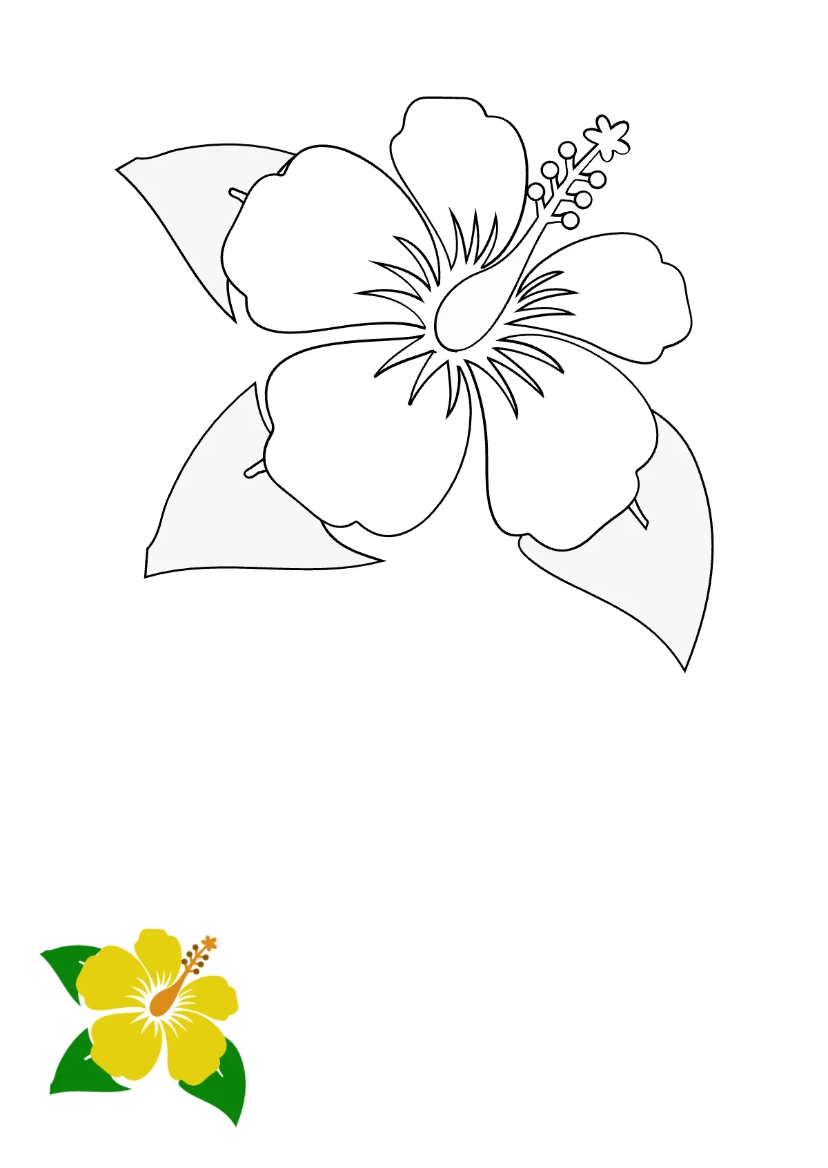 Free Hibiscus Flower Coloring Page Template To Edit Online
