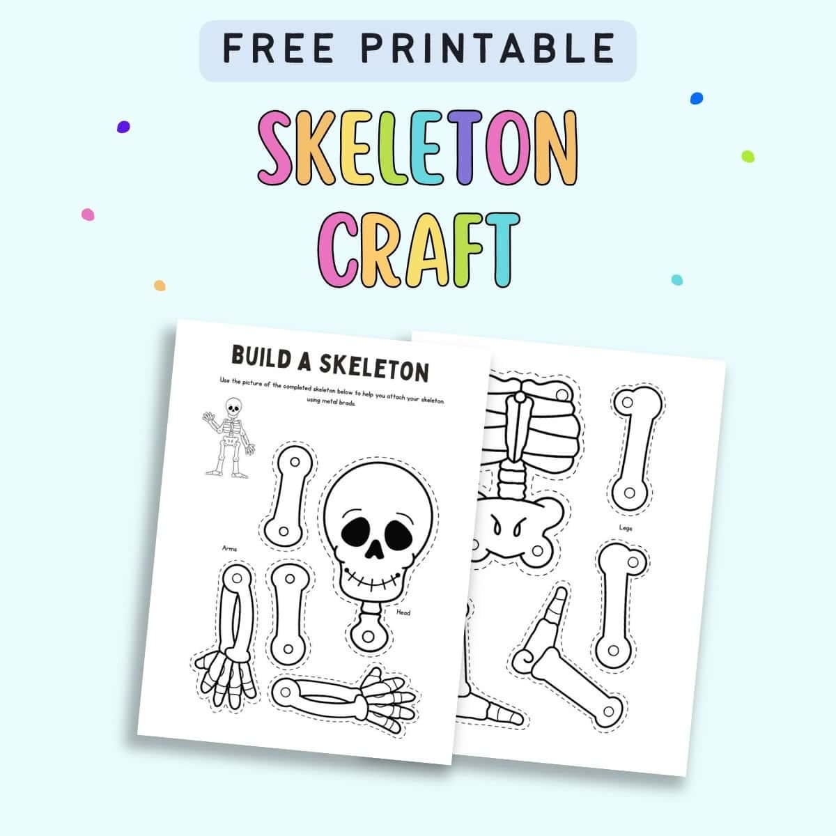 Free Printable Skeleton Craft The Artisan Life