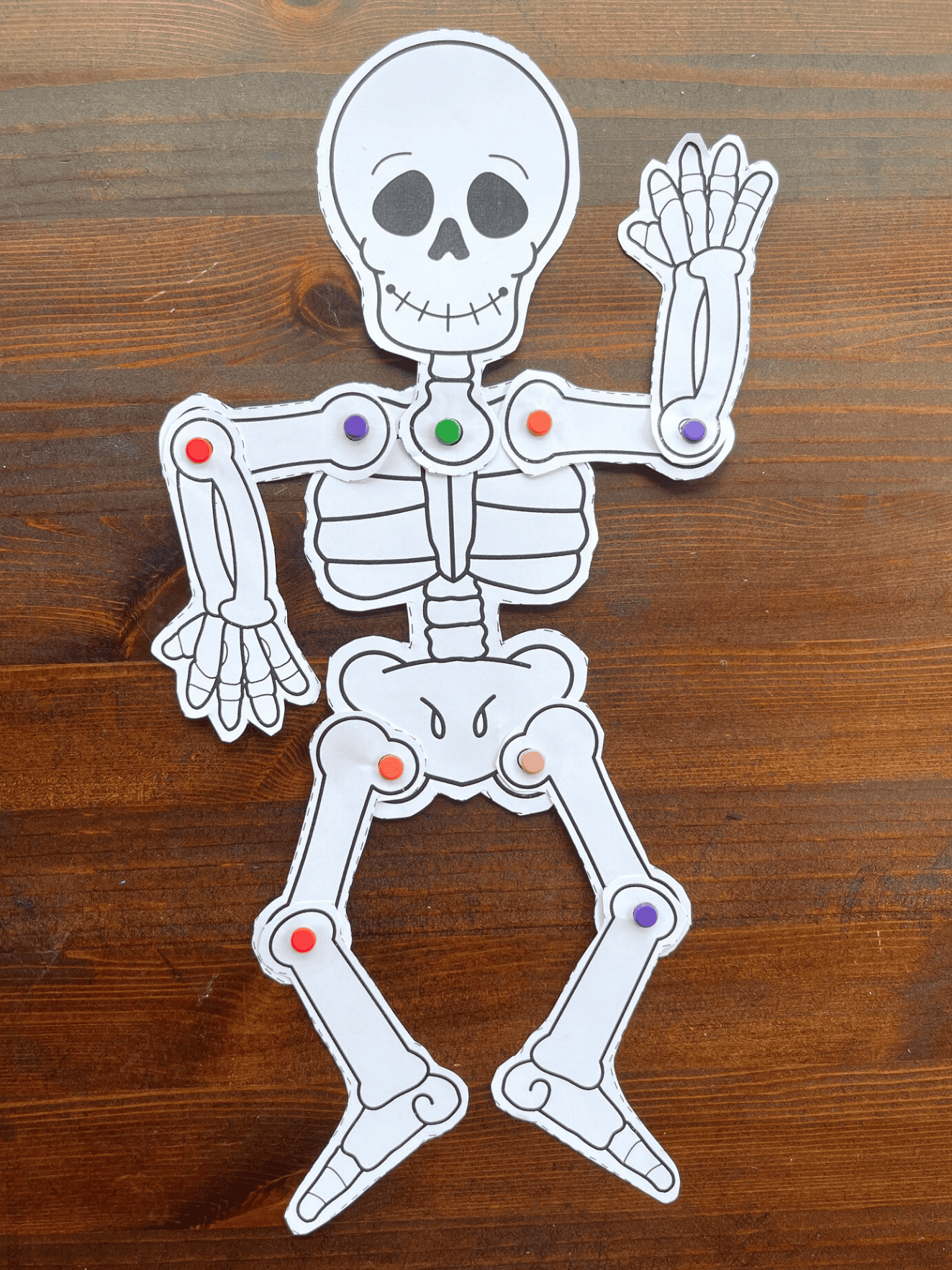 Free Printable Skeleton Craft The Artisan Life