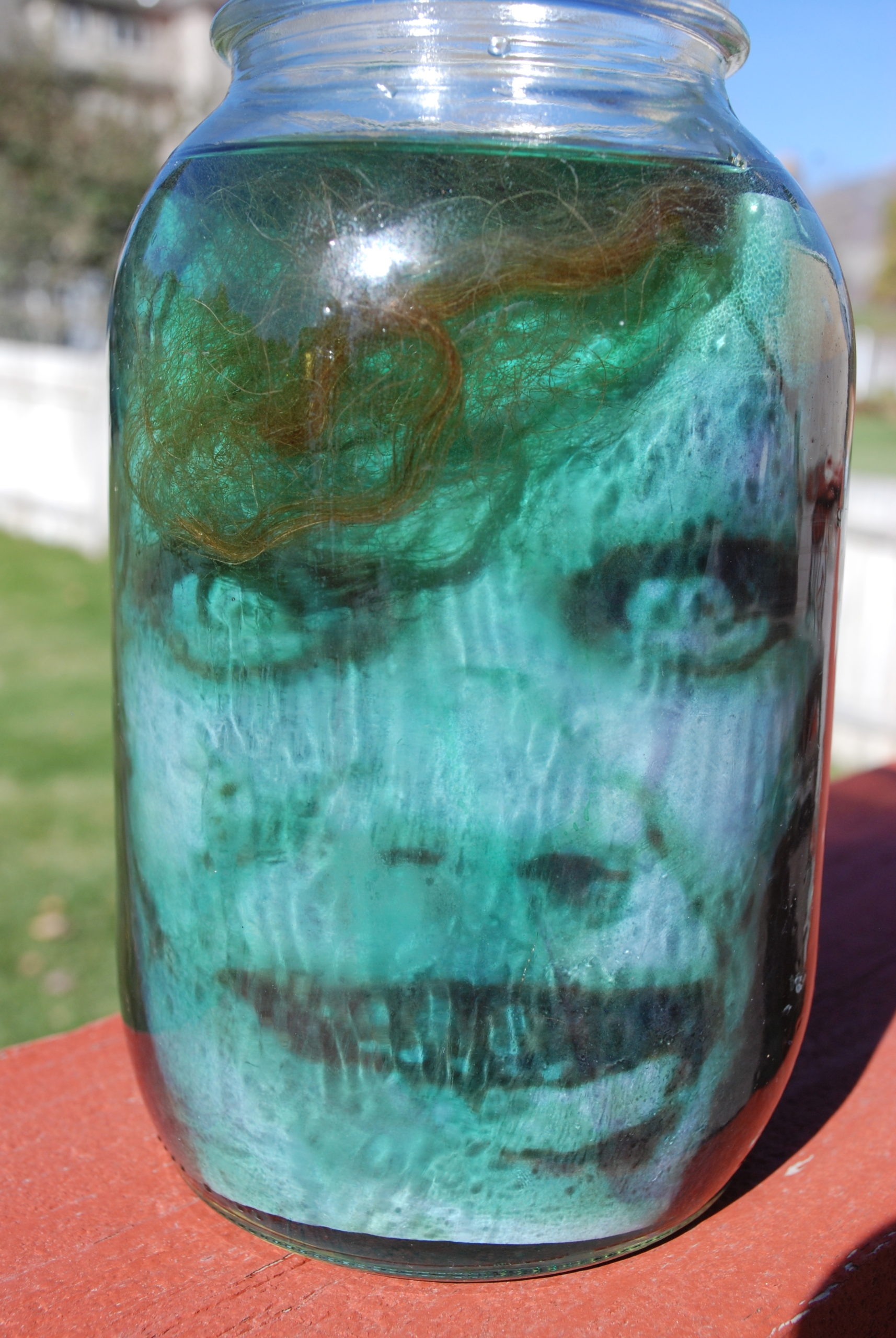 Head In A Jar Illusion