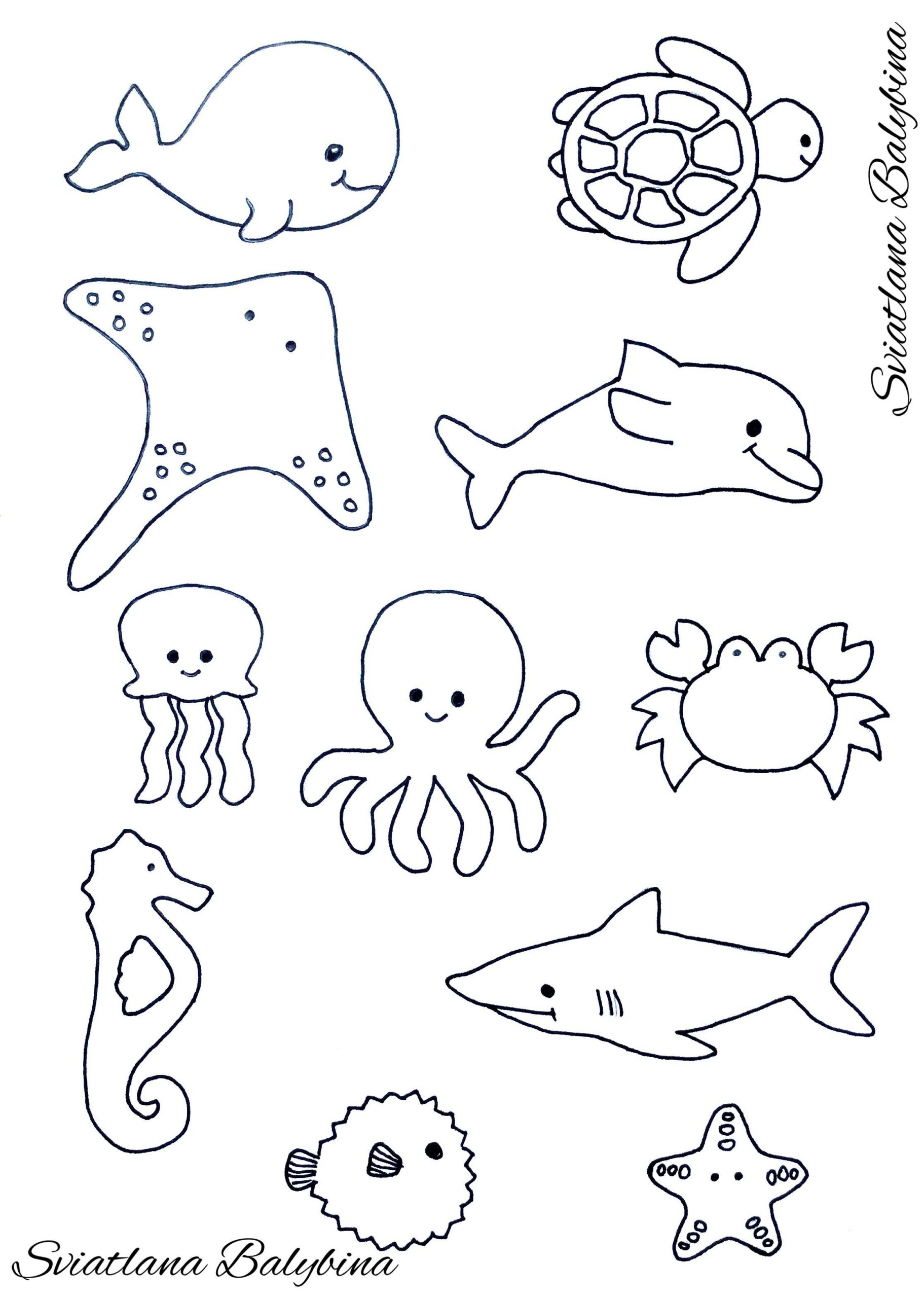 Ocean Animal Templates Exam Paper Template