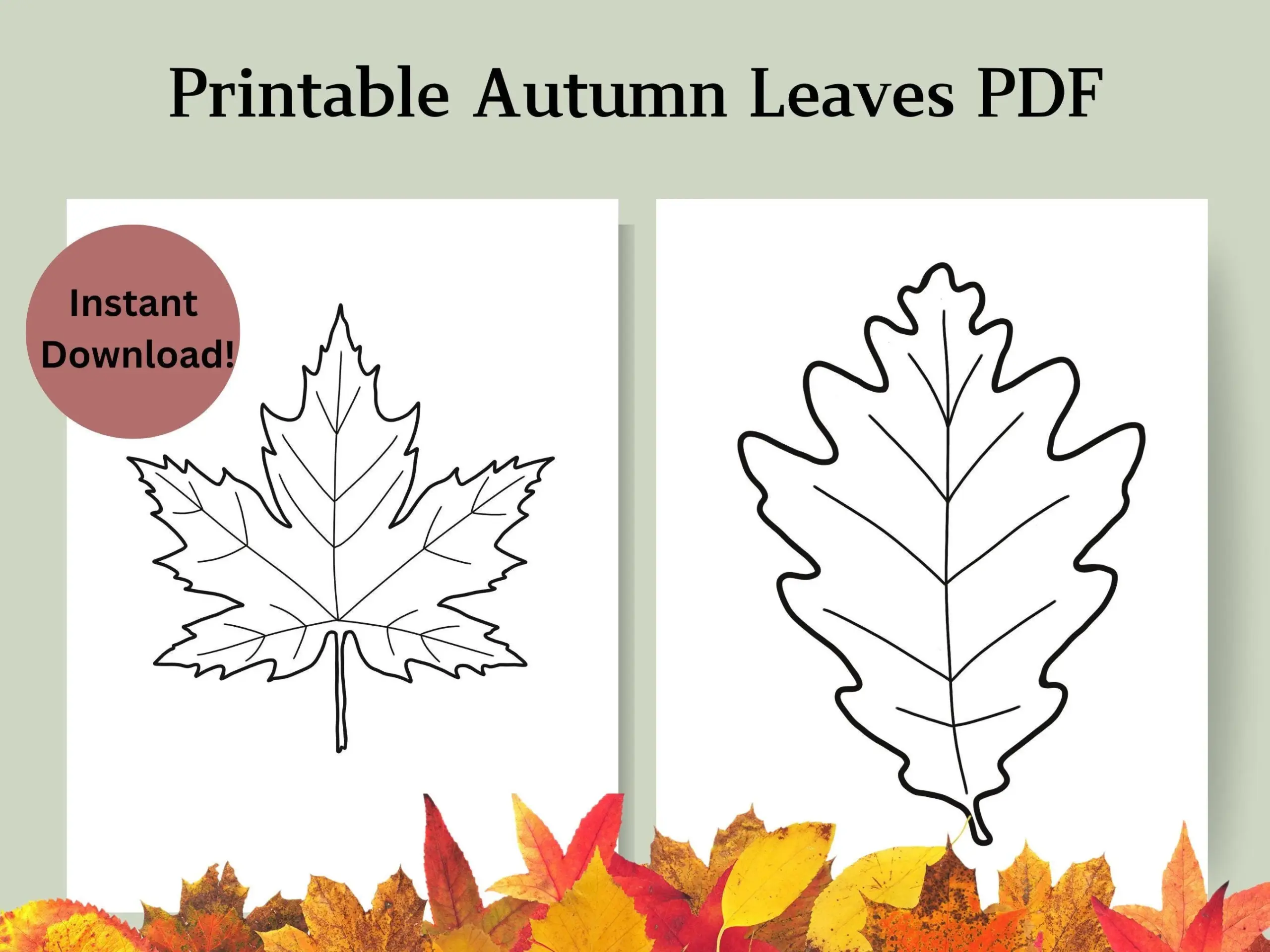 Template Of Fall Leaves Printables