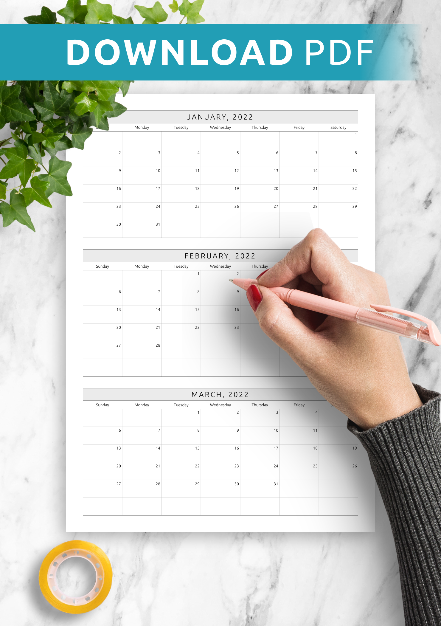 Quarterly Calendar Template Plan 3 Months In One PDF View