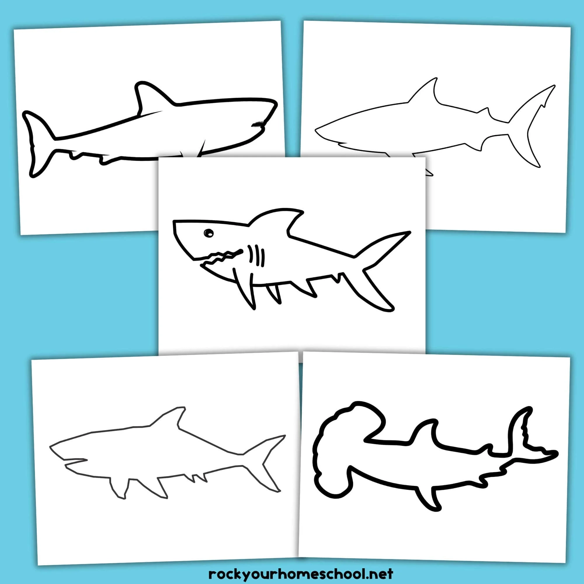 Shark Templates Rock Your Homeschool
