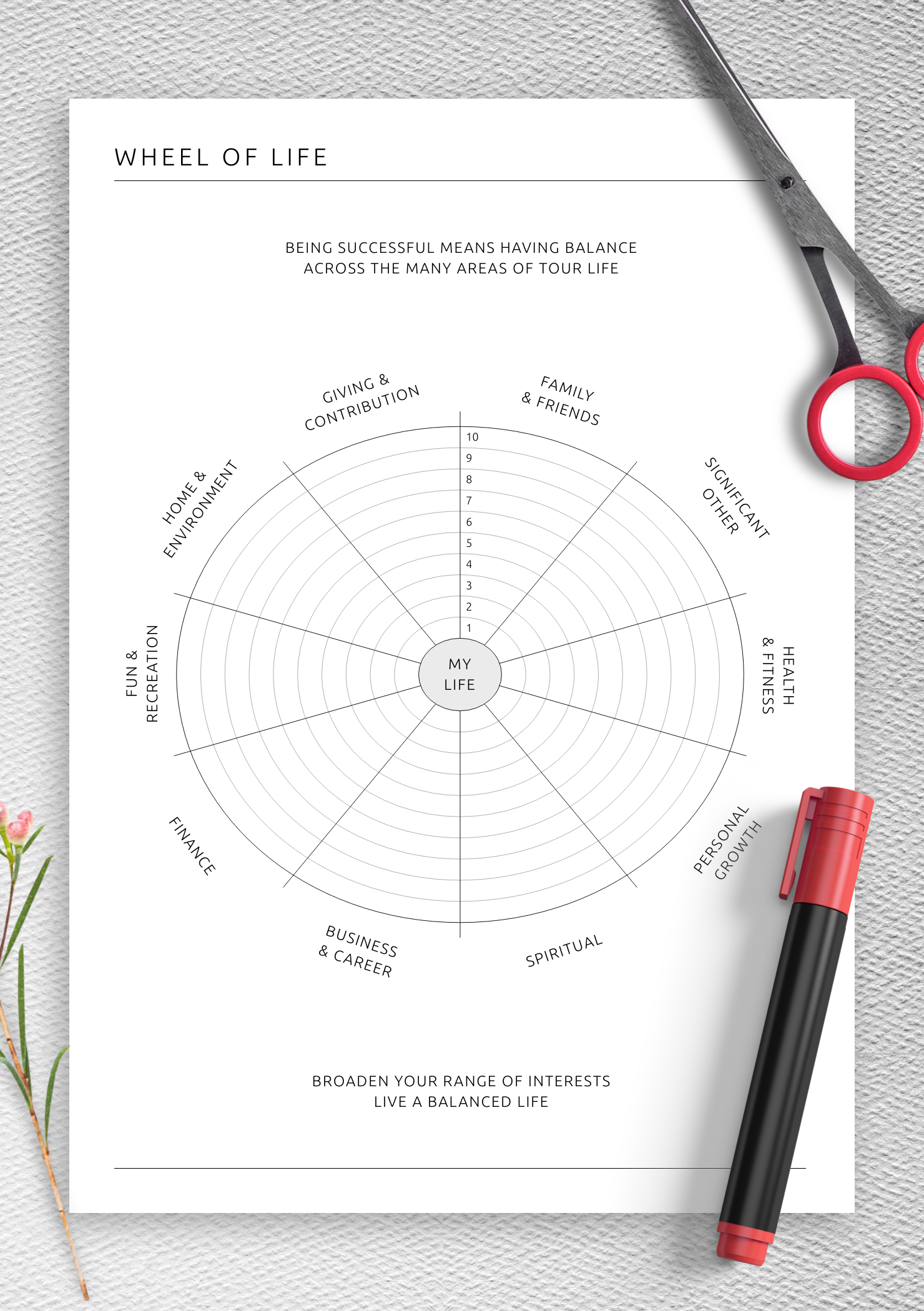 Wheel Of Life Goal Tracker PDF Template For Self Growth